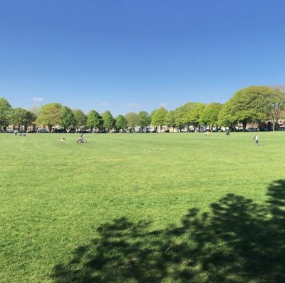 Victoria Park view from South Path